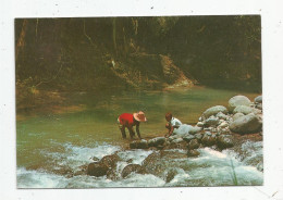 G-I-E , Cp, SPORT , Pêche , Martinique , Saint Joseph , La Rivière Blanche , Petits Pêcheurs De Z'habitants , écrevisses - Pesca