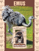 SOLOMON ISLAND 2016 ** Emus S/S - OFFICIAL ISSUE - A1621 - Ostriches