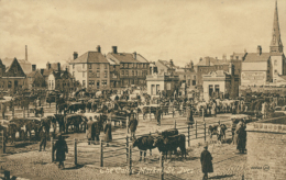 GB SAINT IVES / The Cattle Market / - St.Ives