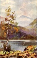 MISCELLANEOUS ART - BUTTERMERE - W MATTHISON  Art178 - Buttermere