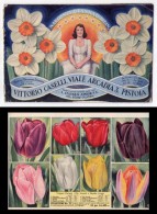 Catalogo Narciso "Deanna Durbin" L.Stassen Junior S.A. Hillegom-Olanda. Vittorio Caselli - Pistoia (fiori) 1946 - Advertising