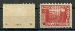 Turkey; 1917 Surcharged Postage Stamp, "Abklatsch Surcharge" ERROR - Unused Stamps
