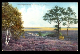 Luneburger Heide Landschaft Bei Der Gunne / Postcard Circulated, 2 Scans - Lüneburg