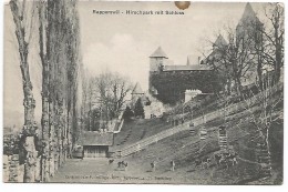 RAPPERSWIL  -  HIRSCHPARK MIT SCHLOSS - Rapperswil