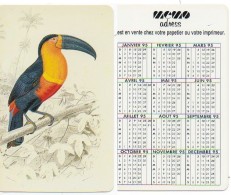 Spécimen Démonstration Oiseau Bird Toucan Animal Calendrier Calendar - Altri & Non Classificati