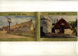 - FAMOUS OLD INNS . IN THE NEW FOREST DORSET AND DISTRICT . FASCICULE ILLUSTRE . - Kultur