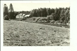 Redu Lesse Château De Pinval - Libin