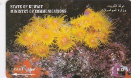 Kuwait, 39KWTP, "Anemone ""Actiniaria""", 2 Scans. - Koeweit