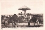 CAMPAGNE DU RIFF UN MANEGE DANS LES PAYS NOUVELLEMENT SOUMIS ATTRACTION FETE FORRAINE MANEGE CAROUSEL MAROC - Autres & Non Classés