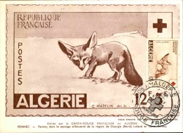 ALGERIE - Carte Maximum - Détaillons Collection - A Voir  - Lot N° 16283 - Tarjetas – Máxima