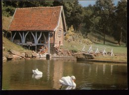 CPM 80 Les Grottes De NAOURS Les Cygnes Au Moulin à Eau - Naours