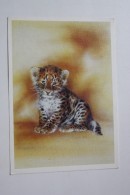 Little Cub - Leopard  - Panther Pardus Orientalis - Old Postcard - 1989 - Tigers