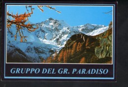 Q1832 CARTOLINA Di Cogne (Aosta) - Gruppo Del Gr. Paradiso - Testa Di Valnontey - NON VIAG. - ITALIA - Otros & Sin Clasificación