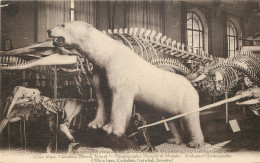 MONACO  - Musée Zoologique - Ozeanographisches Museum