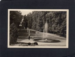 61787    Germania,   Neustrelitz,  Partie Im  Schlossgarten,  NV - Neustrelitz