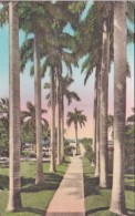 Florida Fort Myers Walk To Pier & Swimming Pool Hotel Royal Palm Handcolored Albertype - Fort Myers