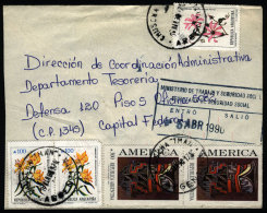 Cover Mailed To Buenos Aires On 16/MAR/1990 With Postmark Of "CHUSCHA" (Tucumán), And INFLA Postage Of A820,... - Brieven En Documenten