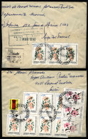Registered Cover Mailed On 14/MAR/1990 With Postmark Of CORONEL MOLDES (Salta), Franked With INFLA Postage Of... - Brieven En Documenten