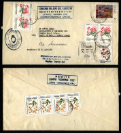 Registered Cover Sent To Buenos Aires On 9/MAY/1988, With Postmark Of "ORDOÑEZ" (Córdoba) And INFLA... - Brieven En Documenten