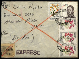 Express Cover Mailed On 14/DE/1984 Cancelled "COLONIA ELISA" (Chaco), With INFLA Postage Of $a153, VF Quality - Brieven En Documenten