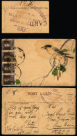 Postcard Sent From Villa Carlos Paz To Jesús María On 25/MAR/1926, With Handstamp Of "ESTACION... - Brieven En Documenten