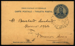 Postal Card Sent From "SANTA ELENA" (Entre Rios) To Buenos Aires In MAR/1910, VF Quality - Brieven En Documenten