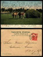 Postcard Mailed From Santa Fe In JUL/1906, Showing A Rural Scene, Ed. Pita & Catalano, VF Quality - Lettres & Documents