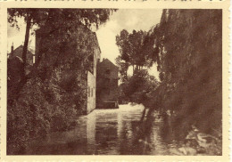 Rotselaar Watermolen - Rotselaar