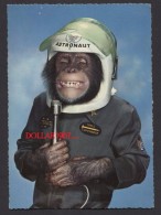 Aap Monkey Affe Singe  -  Used  See The 2  Scans For Condition. ( Originalscan !!! ) - Animaux Habillés