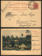 1p. Postal Card Illustrated On Back With View Of "Native Village On The East Coast", Sent From Johannesburg To... - Transvaal (1870-1909)