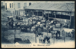 RIO DE JANEIRO: Minas, A Ranch, Ed.Marc Ferrez, Sent To Portugal On 21/FE/1919, VF Quality - Rio De Janeiro