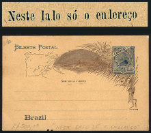 RHM.BP-63, Postal Card With "NESTE LALO SÓ O ENLEREÇO" Variety, Minor Defect Below Else VF Quality! - Postwaardestukken