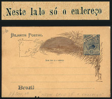RHM.BP-63, Postal Card With "NESTE LALO SÓ O ENLEREÇO" Variety, Minor Defect Below Else VF Quality! - Entiers Postaux