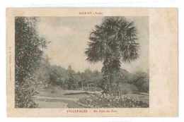 Delcampe - CPA 11 SIGEAN VILLEFALSE UN COIN DU PARC - Sigean