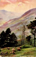 MISCELLANEOUS ART - BORROWDALE BIRCHES Art261 - Borrowdale