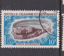 New Caledonia SG 448 1968 Sea Shells 10 F SGeography Cone Used - Usados