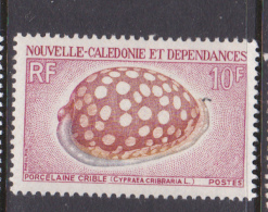 New Caledonia SG 449 1968 Sea Shells 10 F Sieve Cowrie MNH - Usados