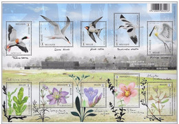 Natuur ,,Het Zwin,,2016 - Unused Stamps