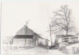 Cpsm Thimeon  Rue De Mons - Pont-à-Celles