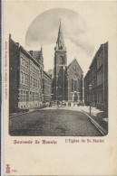 Souvenir De Renaix.   L'Eglise De St.-Martin  -  1900 - Renaix - Ronse