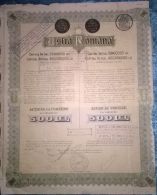 ASTRA ROMANA OIL REFINERY COMPANY, SHARES, STOCK, REVENUE COUPONS, 1945, ROMANIA - Petrolio