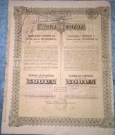 ASTRA ROMANA OIL REFINERY COMPANY, SHARES, STOCK, 1942, ROMANIA - Oil