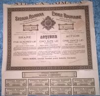 STEAUA ROMANA OIL COMPANY, SHARES, STOCK, REVENUE COUPONS, 1926, ROMANIA - Oil