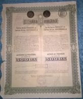 ASTRA ROMANA OIL COMPANY, SHARES, STOCK, REVENUE COUPONS, 1945, ROMANIA - Erdöl