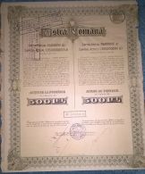 ASTRA ROMANA OIL COMPANY, SHARE, STOCK, REVENUE COUPONS, 1945, ROMANIA - Oil