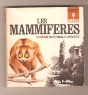 LES MAMMIFERES DU ZOO NATIONAL D'ANVERS - Marabout Flash Sans Numéro - 1963 - - Animaux