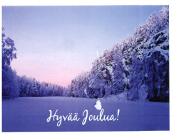 (550) Finland - Tree In Winter - Arbres