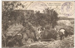 FRANCIA MARRUECOS TP CAMPAGNE DE MAROC RABAT 1911 MARCA REGIMENT - Lettres & Documents