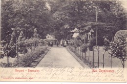 4902 BAD SALZUFLEN, Rosenallee Im Kurpark, 1903 - Bad Salzuflen