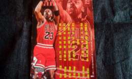 RARE ORIGINAL THE GREAT M. JORDAN 23 CHICAGO BULLS COLLECTABLE CARD FLEER 95-96 HOLOGRAM SILVER - Baloncesto